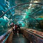 Wisata Surabaya Dan Sekitarnya