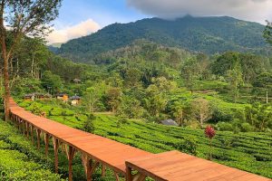 Tempat Wisata Dan Hiburan Baru Di Tahun 2024