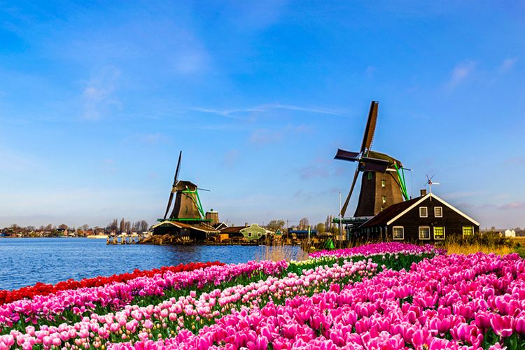 Destinasi Wisata di Belanda dan Keindahannya