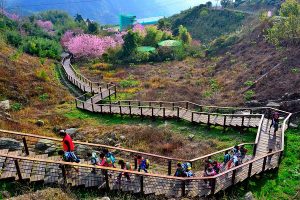 Popular and Popular Tourist Attractions in Purbalingga, Central Java